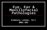 Eye, Ear & Maxillofacial Pathologies Kimberly Lakhan, PA-C SMDC ENT.