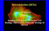 Microtubules (MTs) E. D. Salmon Biology tsalmon@email.unc.edu Reading: Lodish et al., Molecular Cell Biology; Alberts et al., Molecular Biology of the.