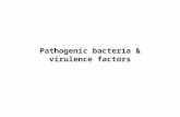 Pathogenic bacteria & virulence factors. What is a pathogen? interpreted relative to outcome to host microbe host damage (disease) pathogenesis: