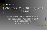 Chapter 2 - Biological Tissue Each type of tissue has a specialized function and a distinctive organization.