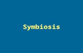 Symbiosis. togetherlife Examples Mutualism: Nitrogen fixing bacteria and Plants.