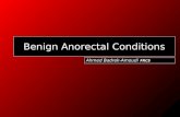 Benign Anorectal Conditions Ahmed Badrek-Amoudi FRCS.