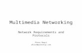 Multimedia Networking Network Requirements and Protocols Ahrar Naqvi ahrar@palmchip.com.