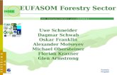 1 Forestry Program Ϊ Ϊ Ϊ Ϊ Ϊ I N S E A 1 I N T E G R A T E D S I N K E N H A N C E M E N T A S S E S S M E N T INSEA PARTNERS Uwe Schneider Dagmar Schwab.