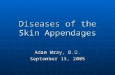 Diseases of the Skin Appendages Adam Wray, D.O. September 13, 2005.