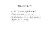 Eusociality Conflicts over reproduction Definition and occurrence Explanations for worker sterility Routes to sociality.