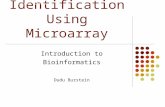 Viral Identification Using Microarray Introduction to Bioinformatics Dudu Burstein Current Subject.