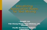 Visualizing Association Rules for Text Mining - Sangjik Lee Pak Chung Wong, Paul Whitney, Jim Thomas Pacific Northwest National Laboratory.