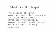 What is Biology? The science of living organisms and life processes, including the study of structure, functioning, growth, origin, evolution and distribution.