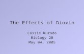 The Effects of Dioxin Cassie Kuroda Biology 2B May 04, 2005.