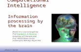 EE141 1 Information processing by the brain Janusz A. Starzyk Computational Intelligence Based on a course taught by Prof. Randall O'ReillyRandall O'Reilly.