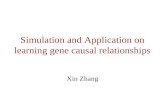 Simulation and Application on learning gene causal relationships Xin Zhang.