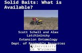 Solid Baits: What is Available? Scott Schell and Alex Latchininsky Extension Entomology Dept. of Renewable Resources - CES.