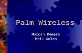 Palm Wireless Morgan Demers Erik Golen. Presentation Agenda  Project Definition  Technical Specifications - Hardware - Communication Protocol - Chat.
