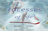 By: Wandaliz Torres-Garcia USF STARS Graduate Fellow.