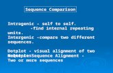 Sequence Comparison Intragenic - self to self. -find internal repeating units. Intergenic -compare two different sequences. Dotplot - visual alignment.