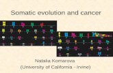 Natalia Komarova (University of California - Irvine) Somatic evolution and cancer.