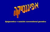 Epigenetics = outside conventional genetics. אפיגנטיקה שינויים יציבים בפוטנציאל ביטוי הגנים המתרחשים במהלך ההתפתחות או