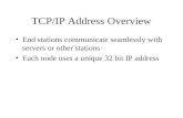TCP/IP Address Overview End stations communicate seamlessly with servers or other stations Each node uses a unique 32 bit IP address.