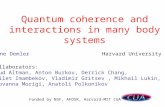 Quantum coherence and interactions in many body systems Collaborators: Ehud Altman, Anton Burkov, Derrick Chang, Adilet Imambekov, Vladimir Gritsev, Mikhail.