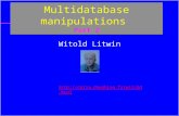 1 Multidatabase manipulations Part 2 Witold Litwin .