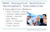 National Geospatial Advisory Committee NGAC Geospatial Workforce Development Subcommittee Subcommittee Members  Dave DiSera (Chair)  Joanne Gabrynowicz.