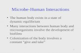 1 Microbe-Human Interactions The human body exists in a state of dynamic equilibrium Many interactions between human body and microorganisms involve the.