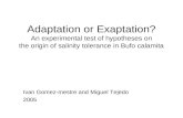 Adaptation or Exaptation? An experimental test of hypotheses on the origin of salinity tolerance in Bufo calamita Ivan Gomez-mestre and Miguel Tejedo 2005.