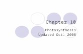 Chapter 10 Photosynthesis Updated Oct. 2008. Overview: The Process That Feeds the Biosphere Photosynthesis  Is the process that converts solar energy.