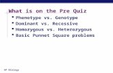 AP Biology What is on the Pre Quiz  Phenotype vs. Genotype  Dominant vs. Recessive  Homozygous vs. Heterozygous  Basic Punnet Square problems.