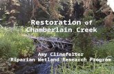 Restoration of Chamberlain Creek Amy Clinefelter Riparian Wetland Research Program Restoration of Chamberlain Creek Amy Clinefelter Riparian Wetland Research.
