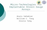 Micro-Technologies for Implantable Strain Gauge Arrays Anais Sahabian William C. Tang Gloria Yang.