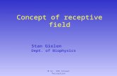 M.Sc. CNS Visual Perception Concept of receptive field Stan Gielen Dept. of Biophysics.