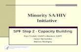 Minority SA/HIV Initiative SPF Step 2 - Capacity Building Pam Tindall, CSAP’s Western CAPT Haner Hernandez Marcus Bouligny.