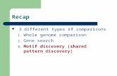 Recap 3 different types of comparisons 1. Whole genome comparison 2. Gene search 3. Motif discovery (shared pattern discovery)