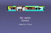 Between Gazes Camelia Elias. interventions in feminist filmmaking  How to formulate an understanding of a structure that insists on our absence even.