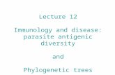 Lecture 12 Immunology and disease: parasite antigenic diversity and Phylogenetic trees.