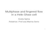 1 Multiphase and fingered flow in a Hele-Shaw cell Giulia Spina Relatrice: Prof.ssa Marina Serio.