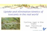 Uptake and elimination kinetics of toxicants in the real world Tjalling Jager & Elke Zimmer Dept. Theoretical Biology TexPoint fonts used in EMF. Read.