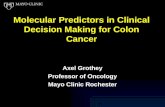 Molecular Predictors in Clinical Decision Making for Colon Cancer Axel Grothey Professor of Oncology Mayo Clinic Rochester Axel Grothey Professor of Oncology.
