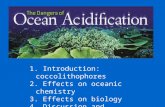 1. Introduction: coccolithophores 2. Effects on oceanic chemistry 3. Effects on biology 4. Discussion and conclusions.