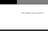 The UNIX File System. File System Definition A file system is a hierarchy of directories, subdirectories, and files that organize and manage the information.