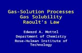 Gas-Solution Processes Gas Solubility Raoult’s Law Edward A. Mottel Department of Chemistry Rose-Hulman Institute of Technology.