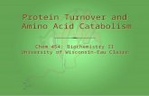 Chem 454: Biochemistry II University of Wisconsin-Eau Claire Chem 454: Biochemistry II University of Wisconsin-Eau Claire Protein Turnover and Amino Acid.