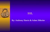 SSL By: Anthony Harris & Adam Shkoler. What is SSL? SSL stands for Secure Sockets Layer SSL is a cryptographic protocol which provides secure communications