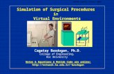 EURON Summer School 2003 Simulation of Surgical Procedures in Virtual Environments Cagatay Basdogan, Ph.D. College of Engineering, Koc University Notes.