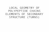 L OCAL GEOMETRY OF POLYPEPTIDE CHAINS E LEMENTS OF SECONDARY STRUCTURE ( TURNS )