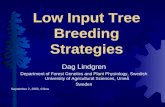 Low Input Tree Breeding Strategies Dag Lindgren Department of Forest Genetics and Plant Physiology, Swedish University of Agricultural Sciences, Umeå Sweden.