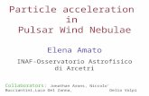 Particle acceleration in Pulsar Wind Nebulae Elena Amato INAF-Osservatorio Astrofisico di Arcetri Collaborators: Jonathan Arons, Niccolo’ Bucciantini,Luca.