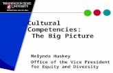 Cultural Competencies: The Big Picture Melynda Huskey Office of the Vice President for Equity and Diversity.